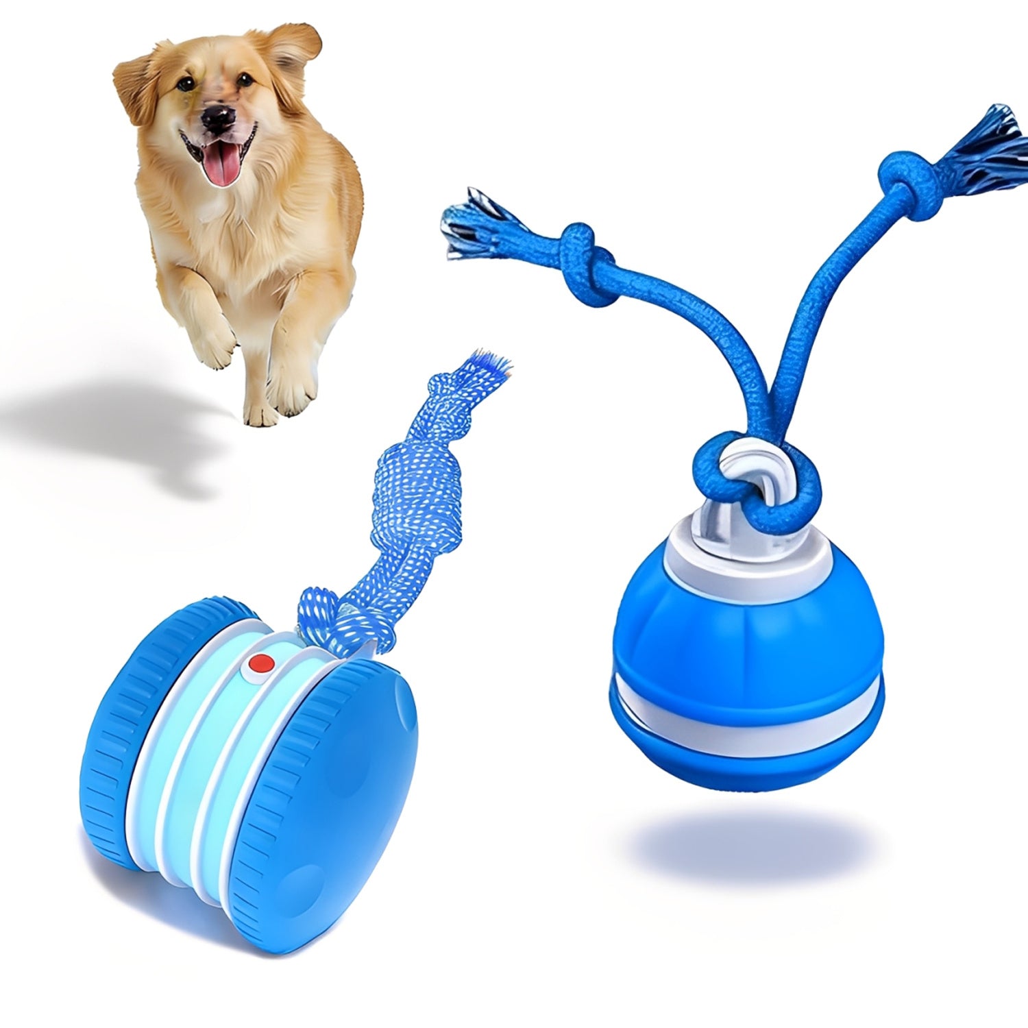 SmartChase™ Electric Rolling Dog Toy