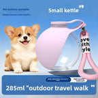 Fold-and-Go Pet Travel Water Bottle