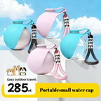 Fold-and-Go Pet Travel Water Bottle