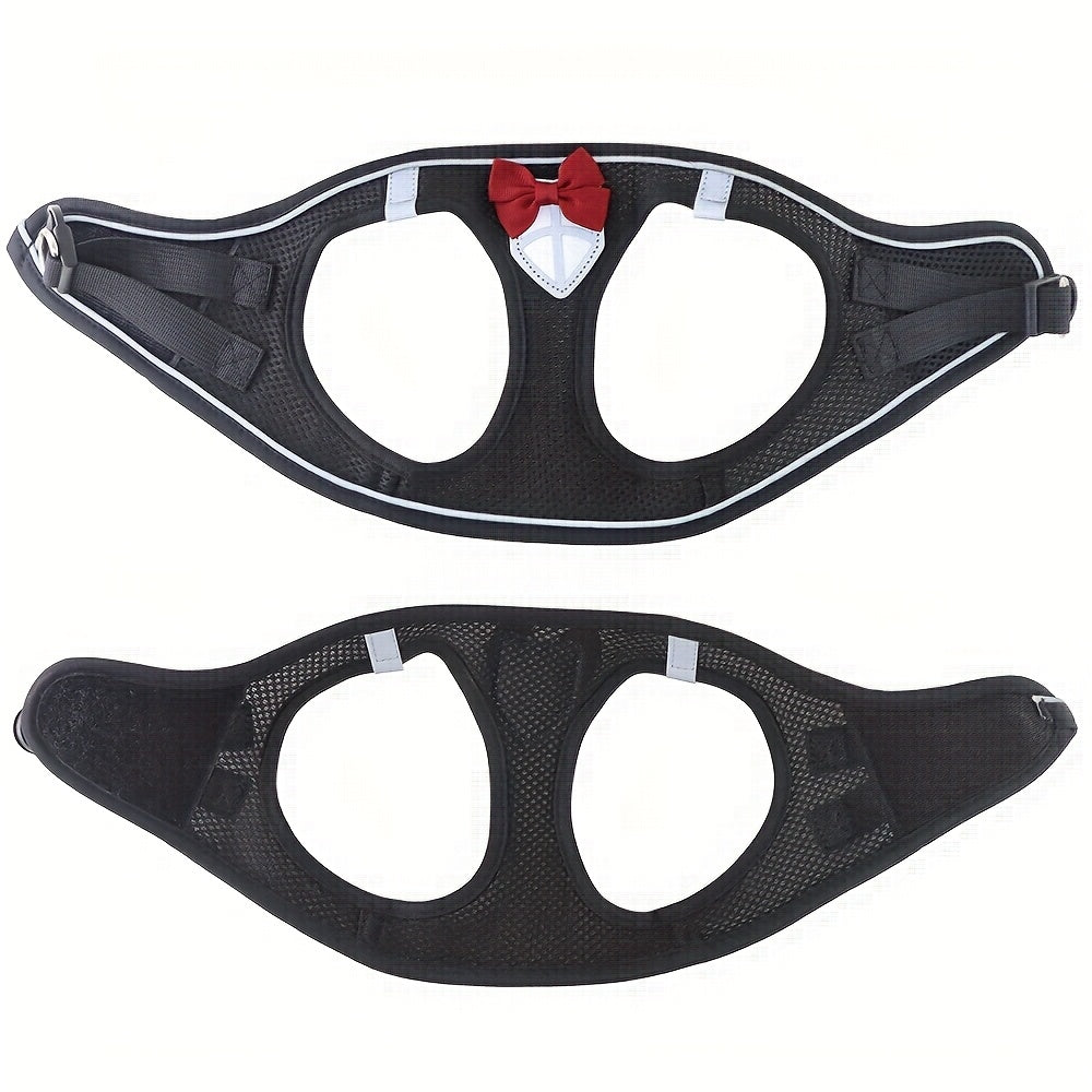 Escape-Proof Cat Harness & Leash Set