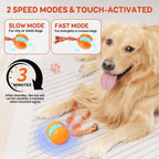 SmartChase™ Electric Rolling Dog Toy