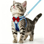 Escape-Proof Cat Harness & Leash Set