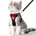 Escape-Proof Cat Harness & Leash Set