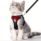 Escape-Proof Cat Harness & Leash Set