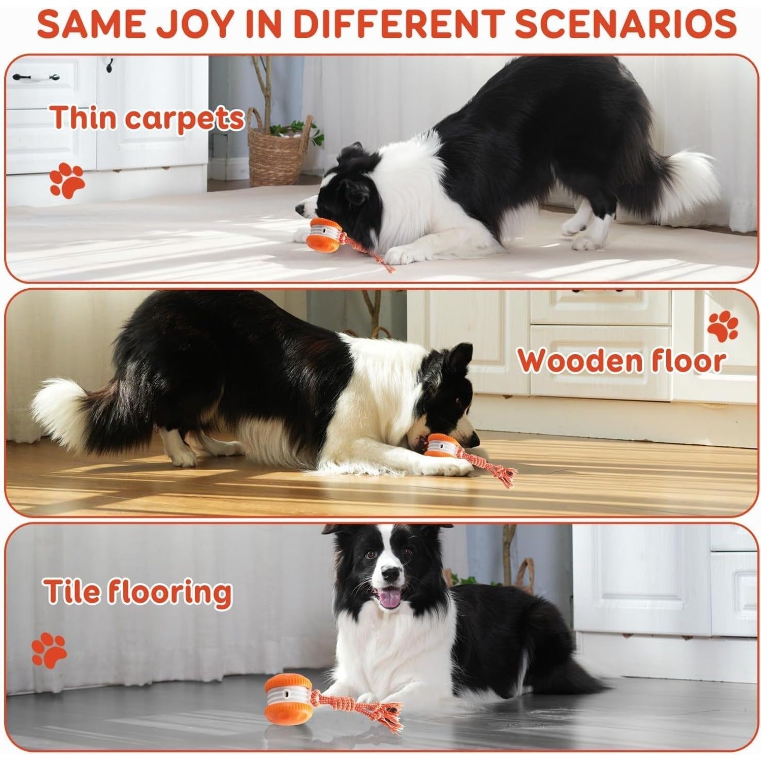 SmartChase™ Electric Rolling Dog Toy