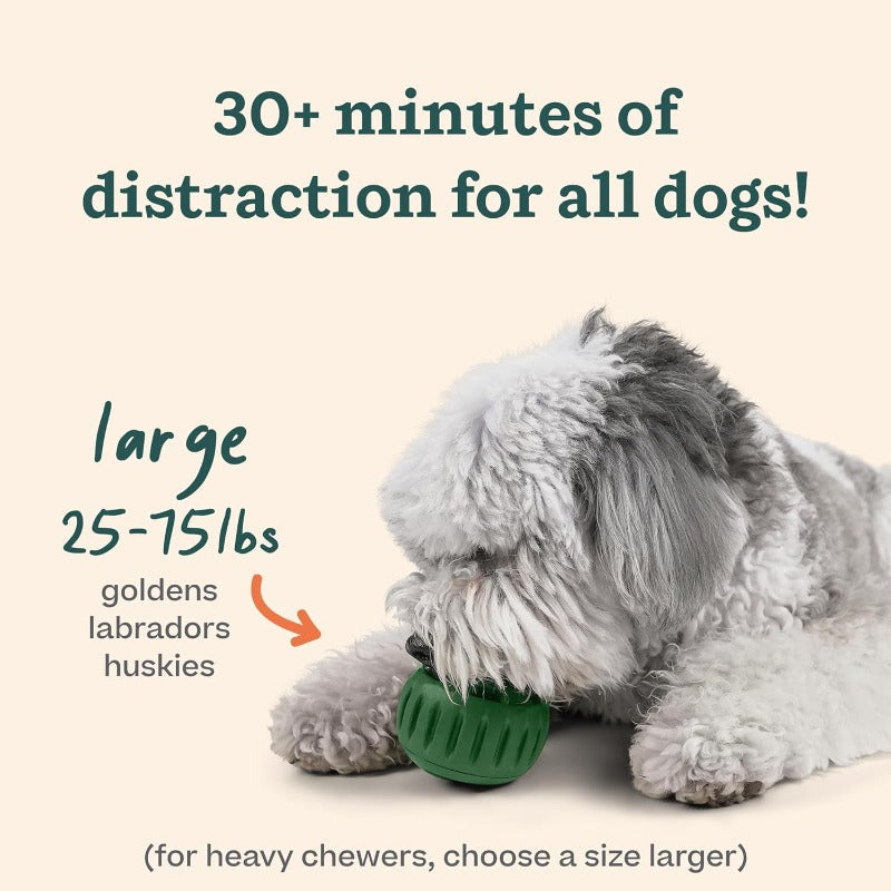 CalmBite™ Silicone Dog Lick Pad