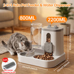 Space-Saving 2-in-1 Auto Feeder & Waterer