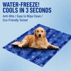 Instant Pet Ice Mat