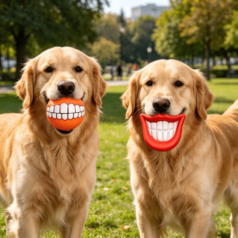Funny Teeth Squeaky Dog Ball