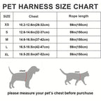 Escape-Proof Cat Harness & Leash Set