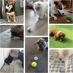 SmartBounce™ Jumping Dog Ball