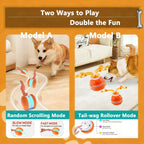 SmartChase™ Electric Rolling Dog Toy