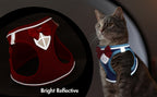 Escape-Proof Cat Harness & Leash Set