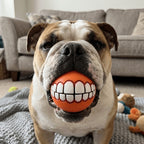 Funny Teeth Squeaky Dog Ball