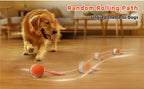 SmartChase™ Electric Rolling Dog Toy