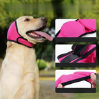 Dog Ear Cover Snood