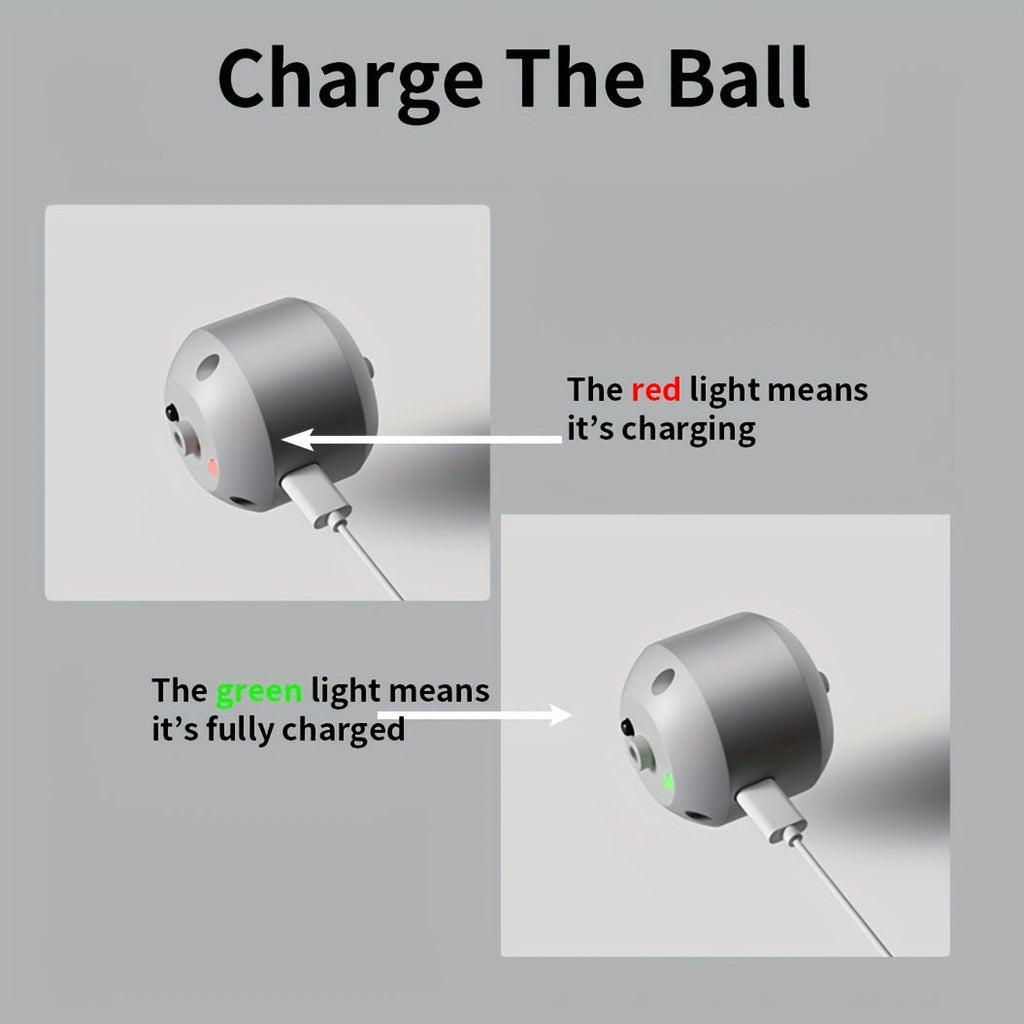SmartBounce™ Jumping Dog Ball