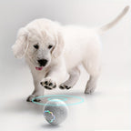 SmartBounce™ Jumping Dog Ball
