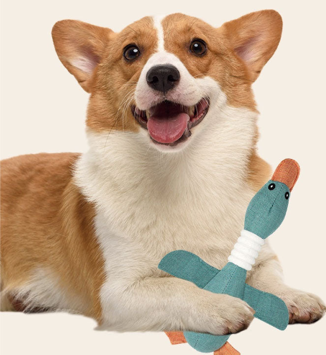 Eco-Friendly Dogs Plush Toy Duck Double-Ring Linen Duck Interactive Sleep to Relieve Boredom Bite Sound Pet Dog Cats Plush Toys
