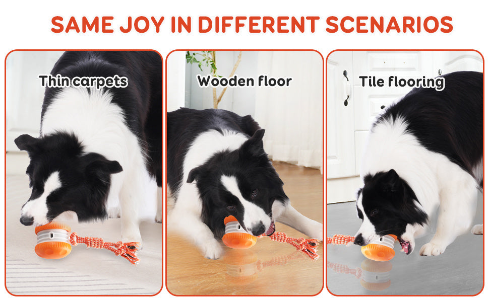 SmartChase™ Electric Rolling Dog Toy