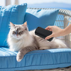 Plastic Lint Pet Dog Grooming Brush Hair Remover for Long Hair Dog